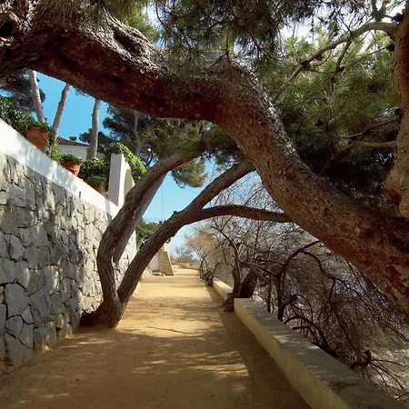 Cavall Bernat Platja D'aro * Castell-Platja d'Aro