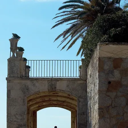 Cavall Bernat Platja D'aro