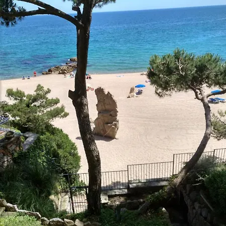 Cavall Bernat Platja D'aro