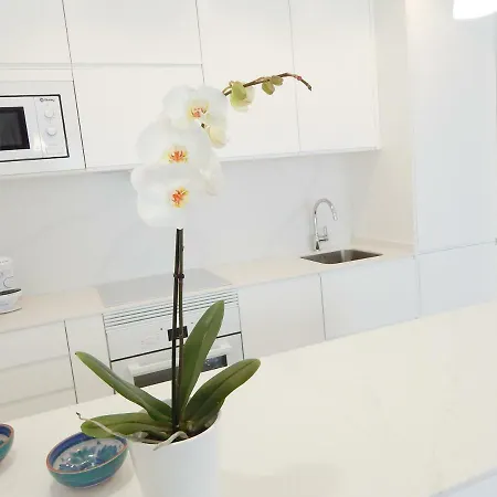 Apartment Cavall Bernat Platja D'aro